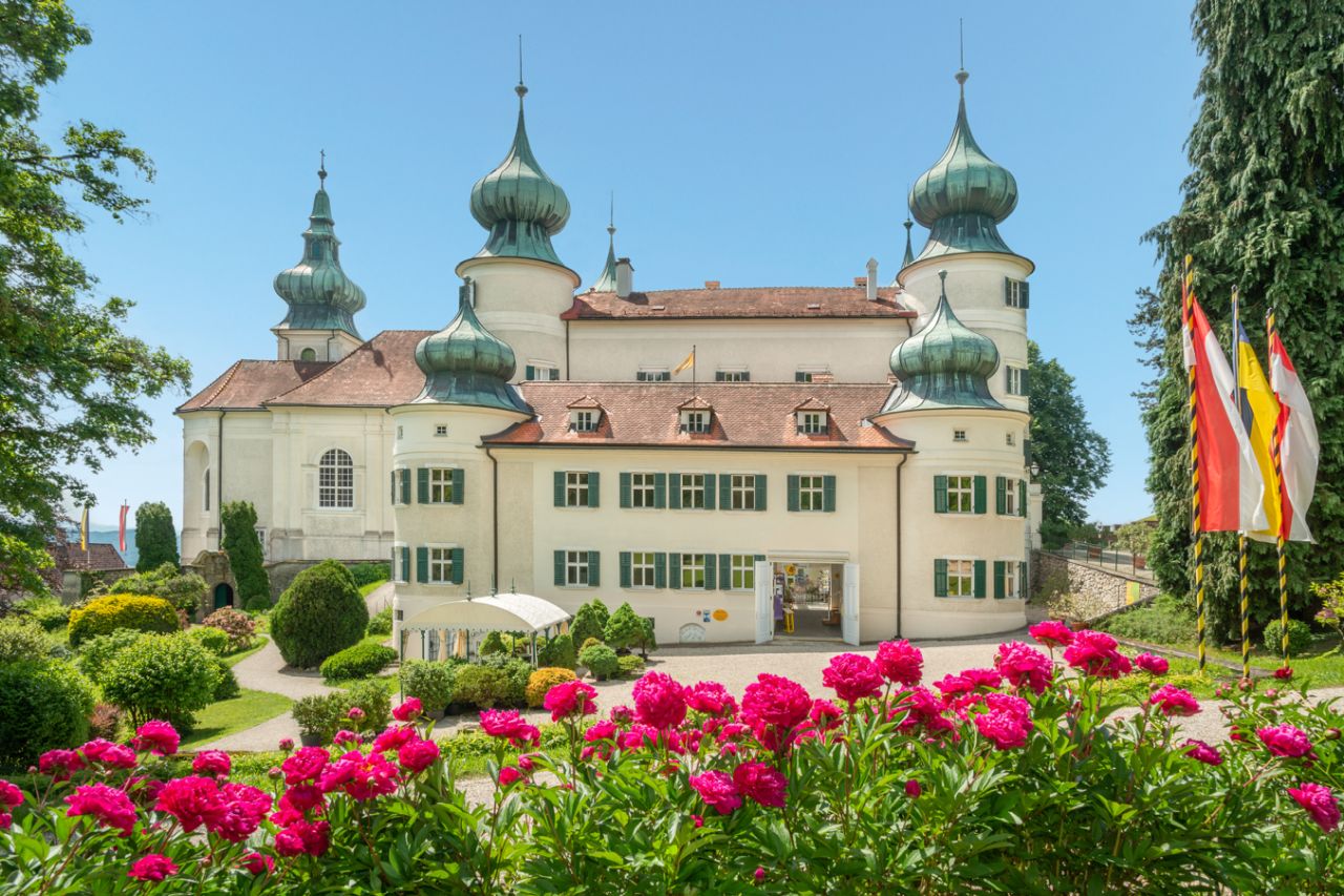 Schloss Artstetten und seine berühmten Pfingstrosen